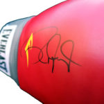 Roy Jones, Jr Signed Boxing Glove