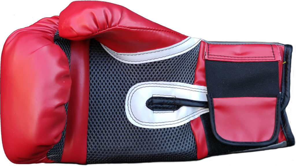 Roy Jones, Jr Signed Boxing Glove