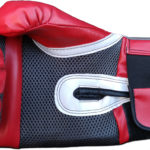 Roy Jones, Jr Signed Boxing Glove