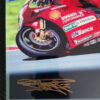 Foggy Autograph