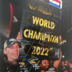 Max Verstappen Drivers Champion